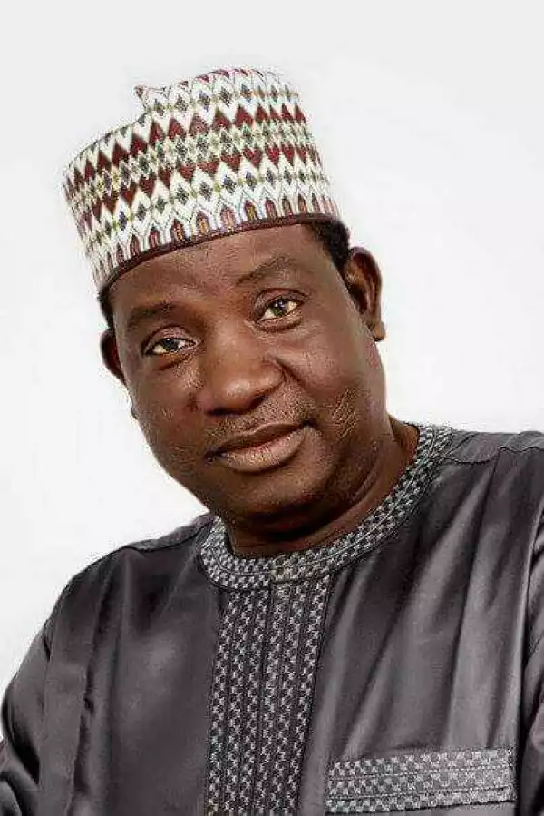 Sack appointed chairmen, non-performing Commissioners; conduct council polls – Group urges Lalong